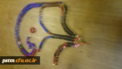 گرامیداشت دهه ی ریاضیات توسط دانشجومعلمان دبیری ریاضی پردیس 6