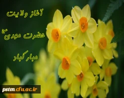 آغاز امامت امام عصر(عج) مبارک 2