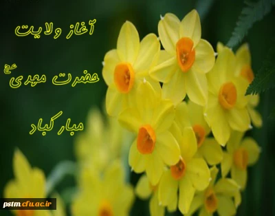 آغاز امامت امام عصر(عج) مبارک