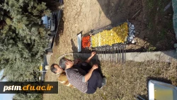 برگزاری اردوی علمی-تفریحی دانشجویان پردیس 2