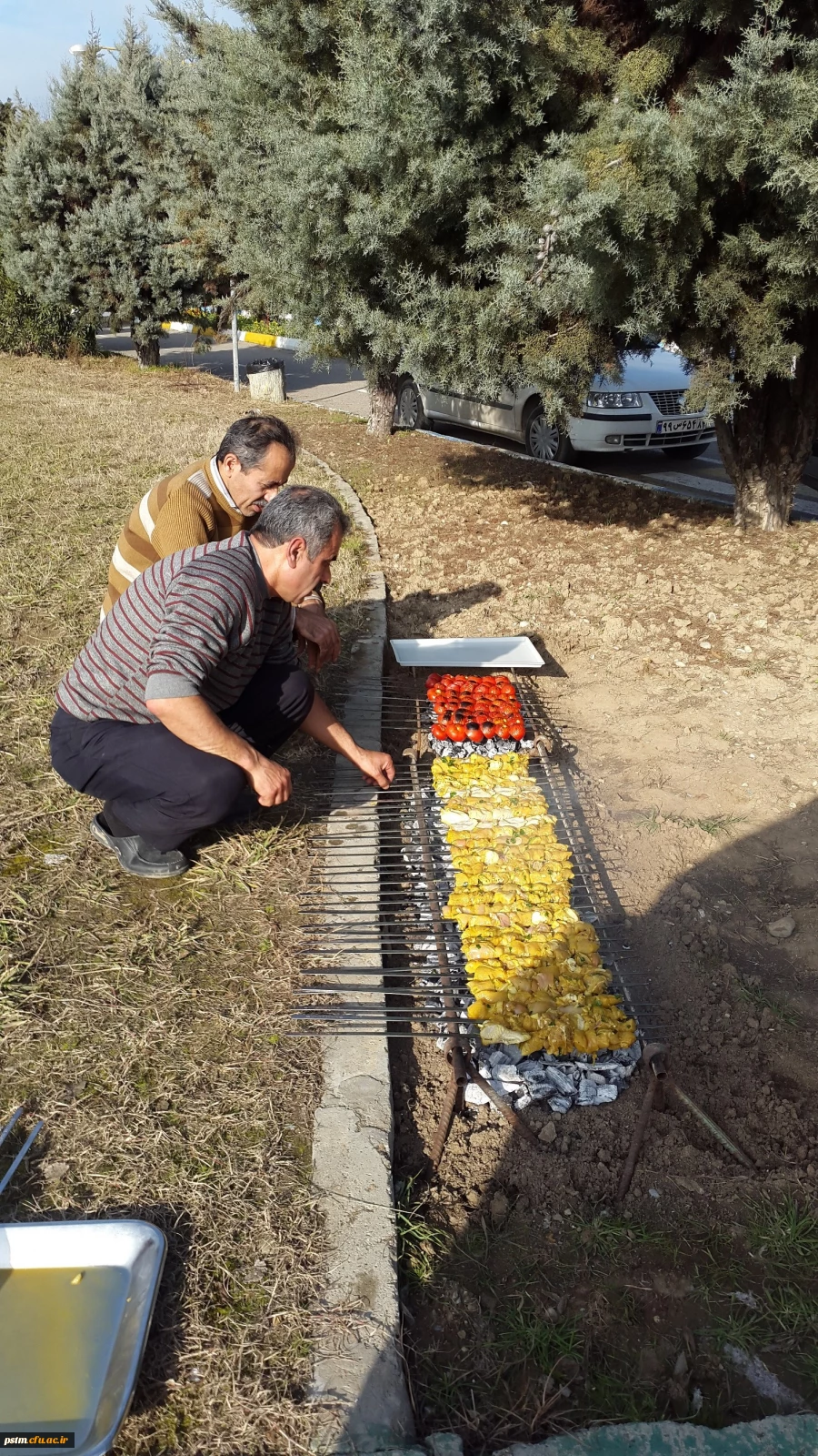 برگزاری اردوی علمی-تفریحی دانشجویان پردیس 2