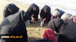 فعالیت کانون محیط زیست در اردوی علمی-تفریحی 3