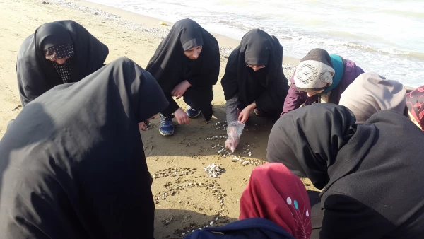 فعالیت کانون محیط زیست در اردوی علمی-تفریحی 3