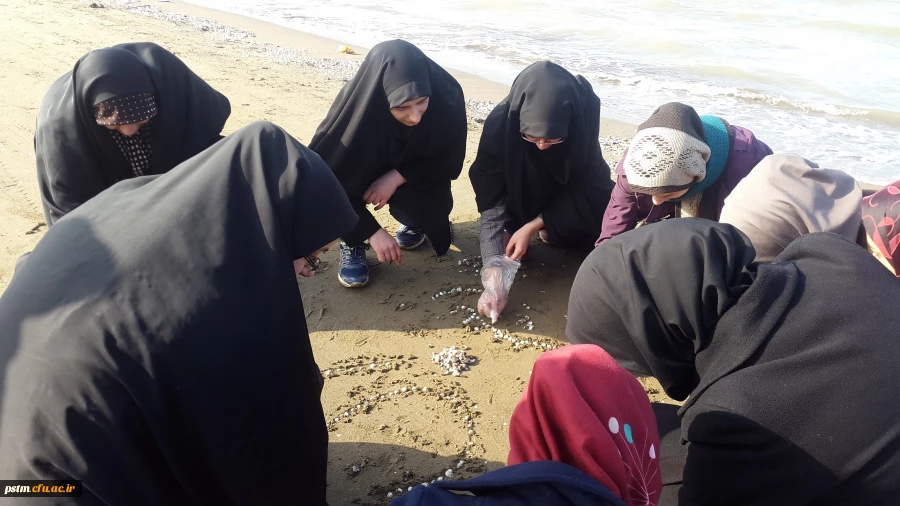 فعالیت کانون محیط زیست در اردوی علمی-تفریحی 3