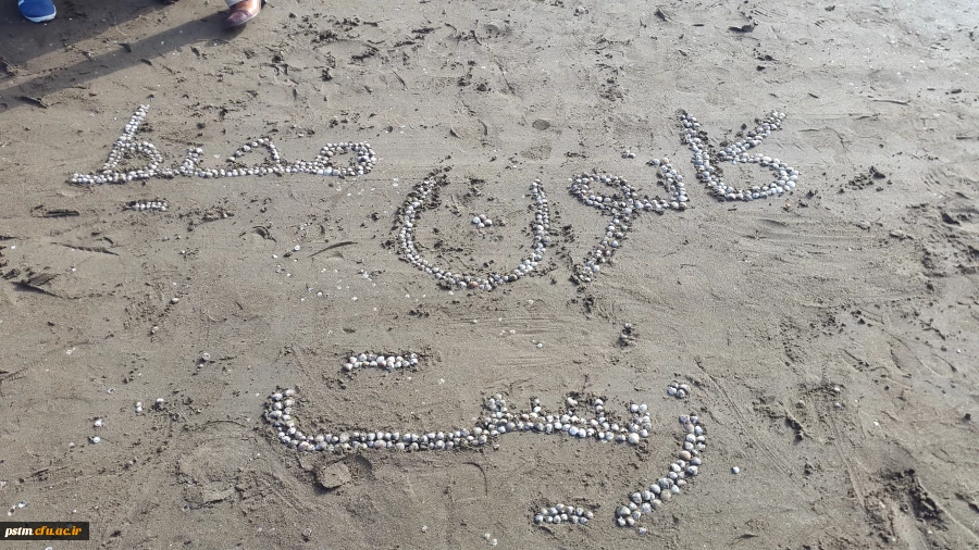 فعالیت کانون محیط زیست در اردوی علمی-تفریحی 2