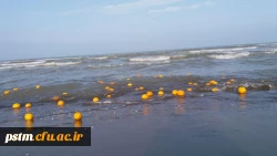 فعالیت کانون محیط زیست در اردوی علمی-تفریحی 5