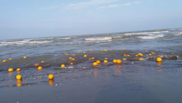 فعالیت کانون محیط زیست در اردوی علمی-تفریحی 5