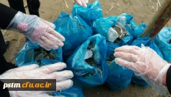 فعالیت کانون محیط زیست در اردوی علمی-تفریحی 4