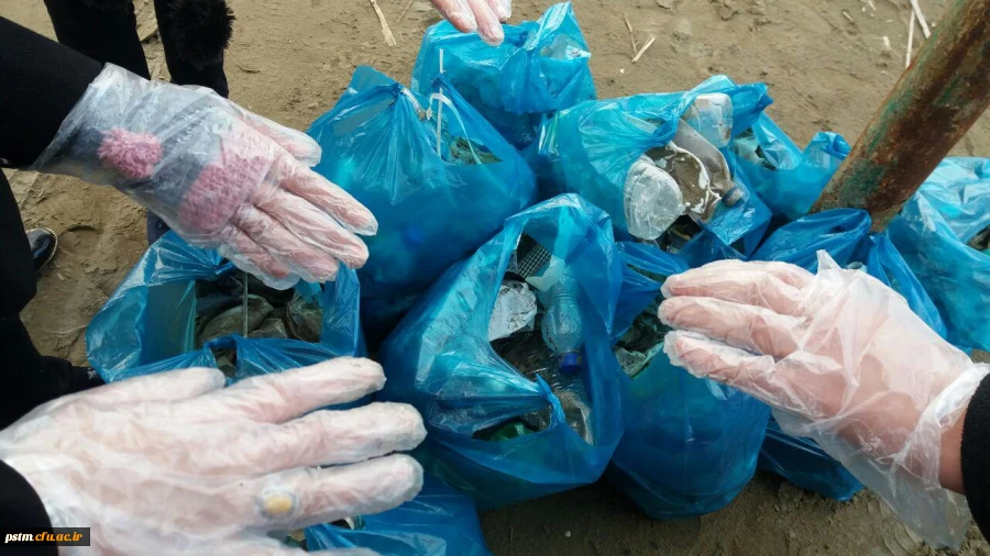 فعالیت کانون محیط زیست در اردوی علمی-تفریحی 4