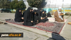 به زودی پردیس میزبان جایگاه ابدی یک شهید خوشنام خواهد بود 4