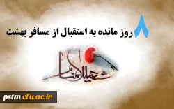 استقبال مسافری از بهشت