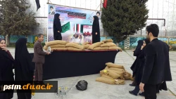 آماده سازی فضا و تدارک مقدمات جهت استقبال از شهید گمنام در پردی 2