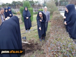 کاشت نهال درختان میوه در محوطه پردیس به مناسبت روز درختکاری 2