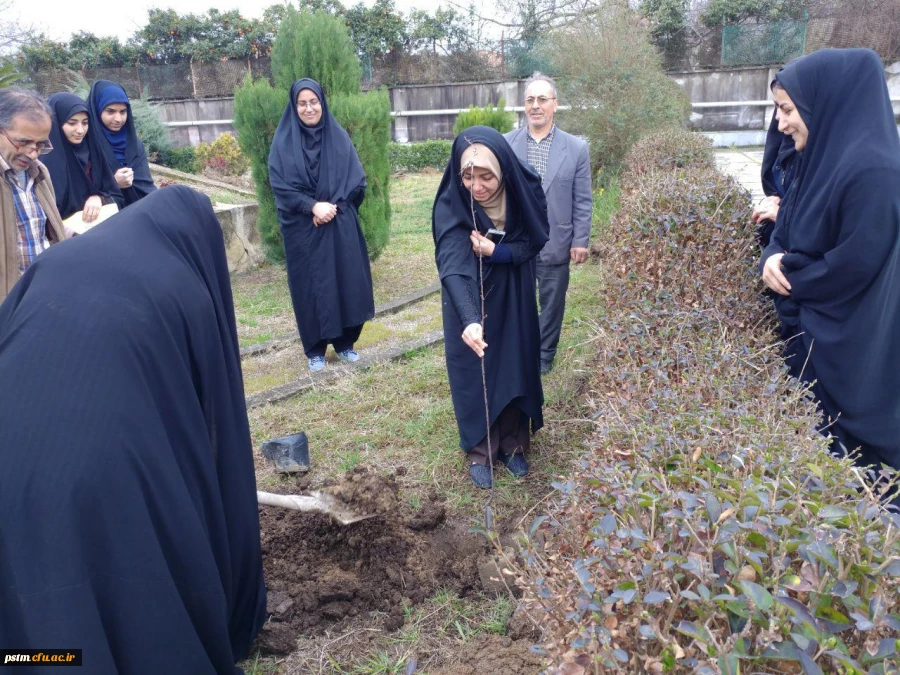 کاشت نهال درختان میوه در محوطه پردیس به مناسبت روز درختکاری 2