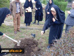 کاشت نهال درختان میوه در محوطه پردیس به مناسبت روز درختکاری 3