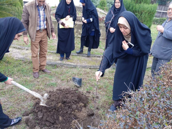 کاشت نهال درختان میوه در محوطه پردیس به مناسبت روز درختکاری 3