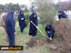 کاشت نهال درختان میوه در محوطه پردیس به مناسبت روز درختکاری 6