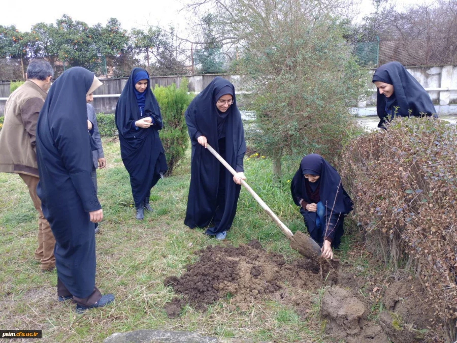 کاشت نهال درختان میوه در محوطه پردیس به مناسبت روز درختکاری 6