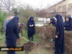 کاشت نهال درختان میوه در محوطه پردیس به مناسبت روز درختکاری 8