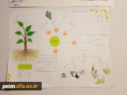 برگزاری نمایشگاه کارورزی 4 (نقشه ذهنی) به مناسبت هفته آموزش 2