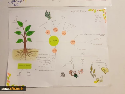 برگزاری نمایشگاه کارورزی 4 (نقشه ذهنی) به مناسبت هفته آموزش