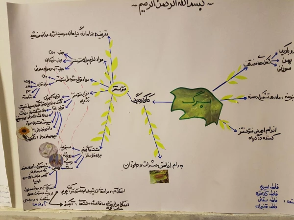 برگزاری نمایشگاه کارورزی 4 (نقشه ذهنی) به مناسبت هفته آموزش 2