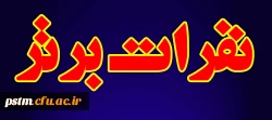 اسامی نفرات برتر هفدهمین دوره  پرشس مهر ویژه دانشجو معلمان دانشگاه فرهنگیان مازندران  دی 95 و نفرات برتر چهل وششمین دوره جشنواره فیلم رشد 96 ویژه دانشجو معلمان  دانشگاه فرهنگیان مازندران 2