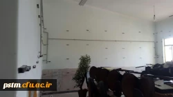 بازسازی و تعمیرات همچنان ادامه دارد... 5