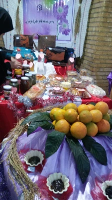 برگزاری نمایشگاه معرفی استان مازندران در حاشیه المپیاد ورزشی 3