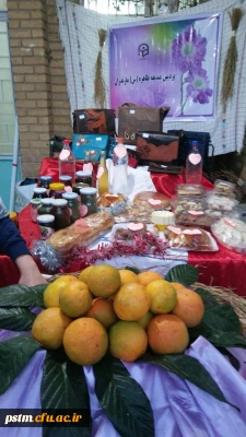 برگزاری نمایشگاه معرفی استان مازندران، پخت و توزیع آش محلی استان در حاشیه المپیاد ورزشی به قلم دوربین