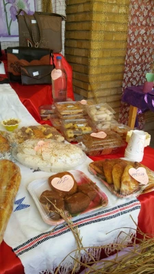 برگزاری نمایشگاه معرفی استان مازندران در حاشیه المپیاد ورزشی 8