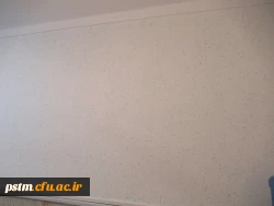 عزم جدی مسئولان جهت آماده سازی کلاس ها، امکانات رفاهی، فضای سبز و ... دانشگاه برای استقبال از دانشجویان در سال تحصیلی جدید
 9