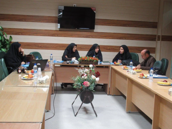 برگزاری دومین جلسه کارگروه کارورزی پردیس 3