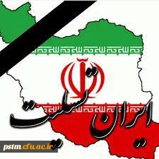 photo_2017-11-13_20-05-54