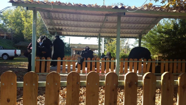 برگزاری اردوی تفریحی دانشجویان پردیس و مرکز قائمشهر به مناسبت روز دانشجو در اردوگاه شهدای دانش آموز 2