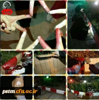 کار جهادی و داوطلبانه ی تعدادی از دانشجومعلمان ورودی ۹۶ پردیس صدیقه طاهره( س)  در رنگ آمیزی جدول های محوطه دانشگاه 2