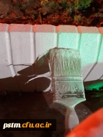 کار جهادی و داوطلبانه ی تعدادی از دانشجومعلمان ورودی ۹۶ پردیس صدیقه طاهره( س)  در رنگ آمیزی جدول های محوطه دانشگاه 2