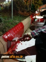 کار جهادی و داوطلبانه ی تعدادی از دانشجومعلمان ورودی ۹۶ پردیس صدیقه طاهره( س)  در رنگ آمیزی جدول های محوطه دانشگاه 2