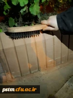 کار جهادی و داوطلبانه ی تعدادی از دانشجومعلمان ورودی ۹۶ پردیس صدیقه طاهره( س)  در رنگ آمیزی جدول های محوطه دانشگاه 2