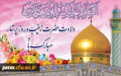 سالروز ولادت باسعادت حضرت زینب (ع) و روز پرستار گرامی باد 2