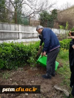 کاشت نهال در محوطه سرای دانشجویی پردیس به مناسبت روز درختکاری 5