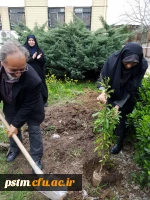 کاشت نهال در محوطه سرای دانشجویی پردیس به مناسبت روز درختکاری 4