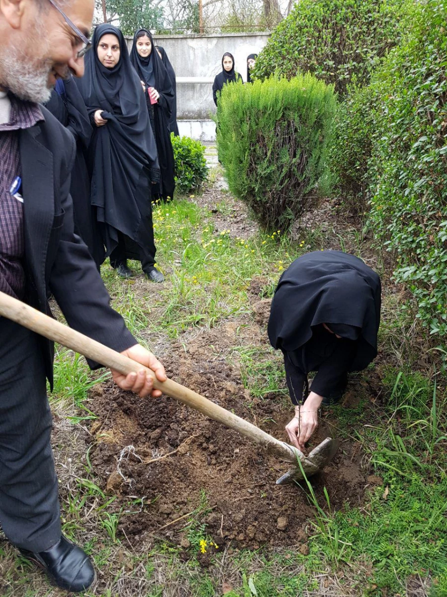 کاشت نهال در محوطه سرای دانشجویی پردیس به مناسبت روز درختکاری 6