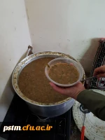 برگزاری اردو به مناسبت روز زن و تجلیل از همکاران خانم دانشگاه فرهنگیان استان مازندران در امامزاده ابا صالح شهرستان قائمشهر 12