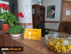 حضور مهمانان نوروزی در پایگاه اسکان پردیس صدیقه طاهره (س) و اقدامات انجام شده به روایت تصویر 2