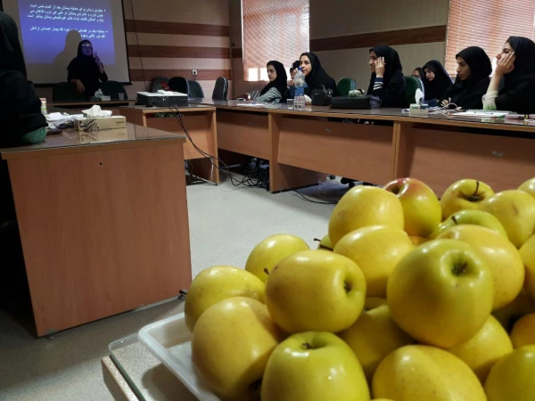 به مناسبت هفته سلامت برگزار شد: کارگاه آموزشی غربالگری  بیماری های خاص  بانوان 4