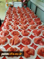 توزیع میان وعده غذایی به مناسبت هفته سلامت 3