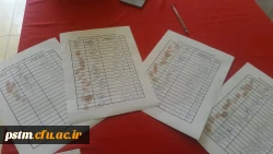 برگزاری انتخابات شورای صنفی دانشجویی پردیس 11