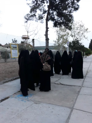 برگزاری اردوی تفریحی به ساحل دریای خزر 3