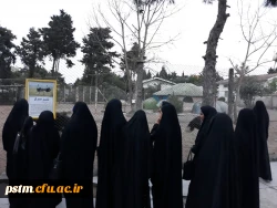 برگزاری اردوی تفریحی به ساحل دریای خزر 4